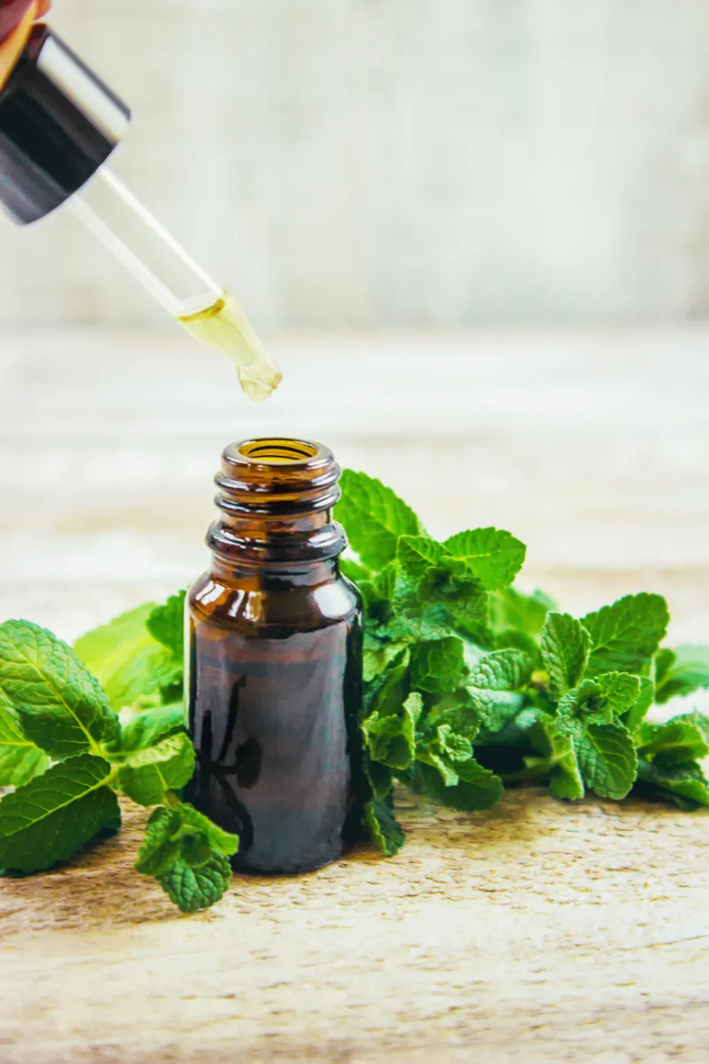 D.M. Peppermint Oil Exporters in India